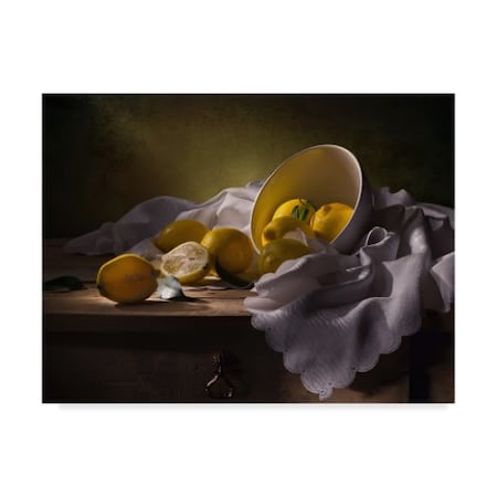 Svetlana L 'Still Life With Lemons' Canvas Art,14x19